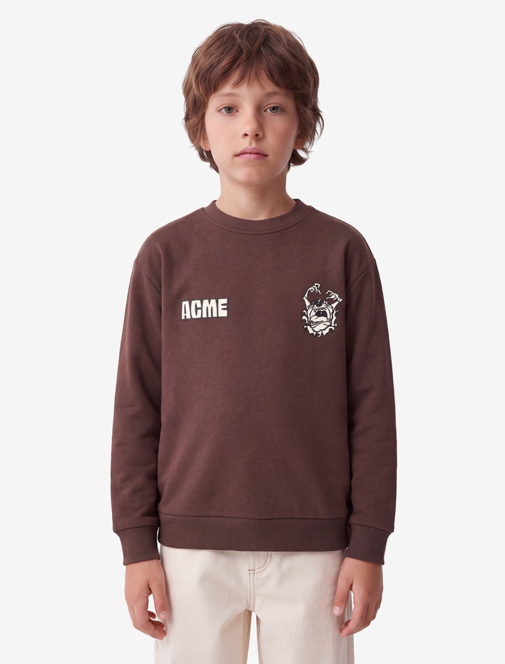 Erkek Çocuk Uzun Kollu Bisiklet Yaka Şardonlu Lisanslı Arkası Tazmanya Canavarı Baskılı Sweatshirt