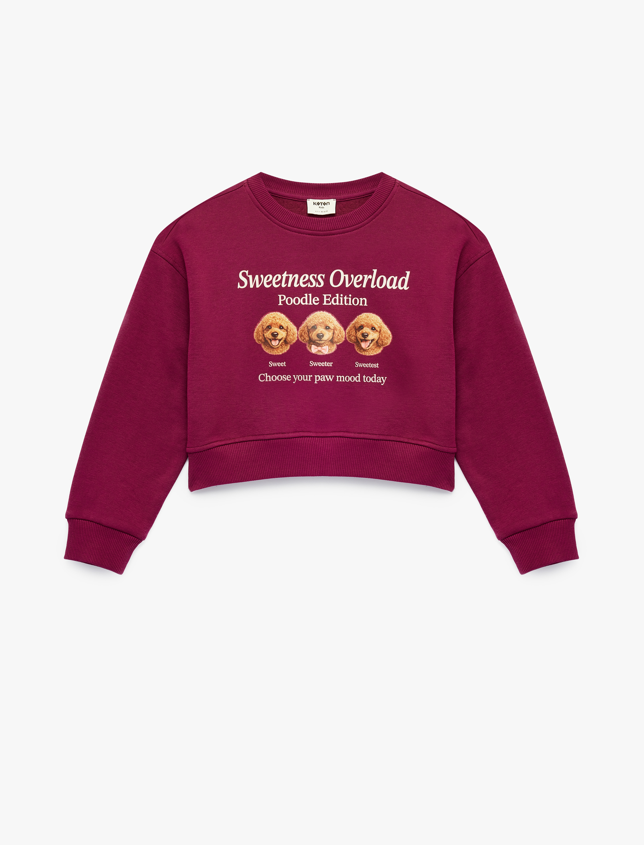  Kız Çocuk Uzun Kollu Bisiklet Yaka Şardonlu Köpek Baskılı Sweatshirt