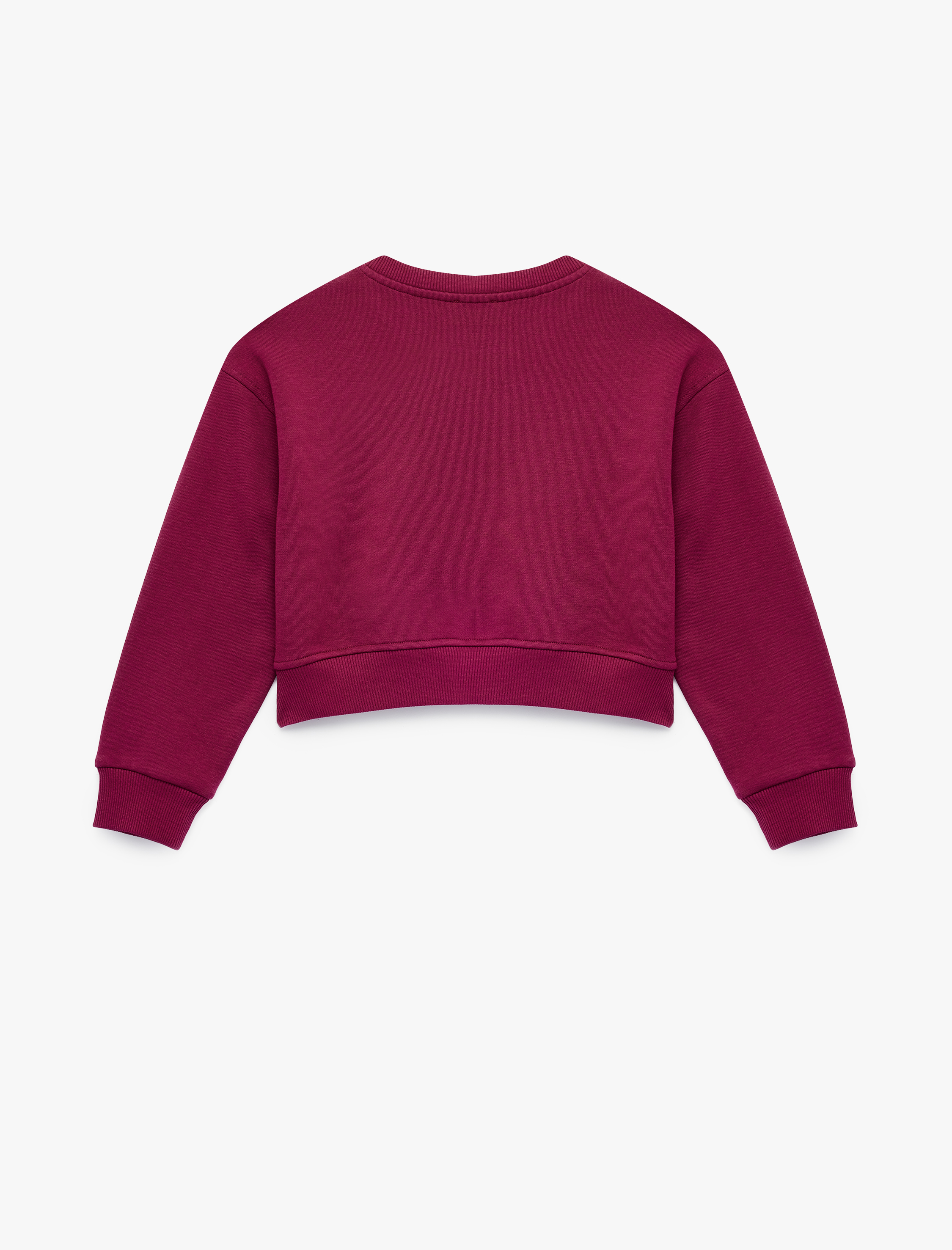  Kız Çocuk Uzun Kollu Bisiklet Yaka Şardonlu Köpek Baskılı Sweatshirt