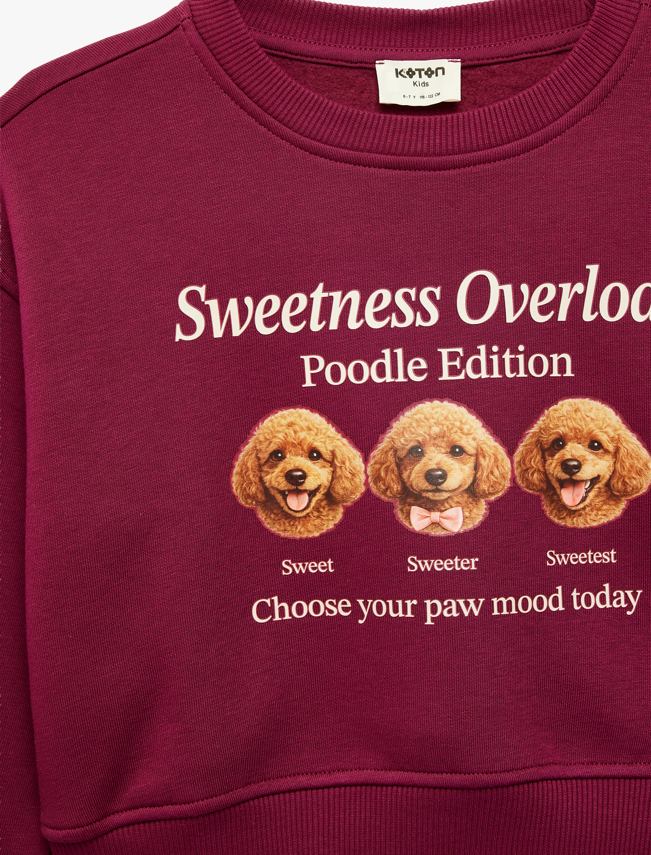  Kız Çocuk Uzun Kollu Bisiklet Yaka Şardonlu Köpek Baskılı Sweatshirt