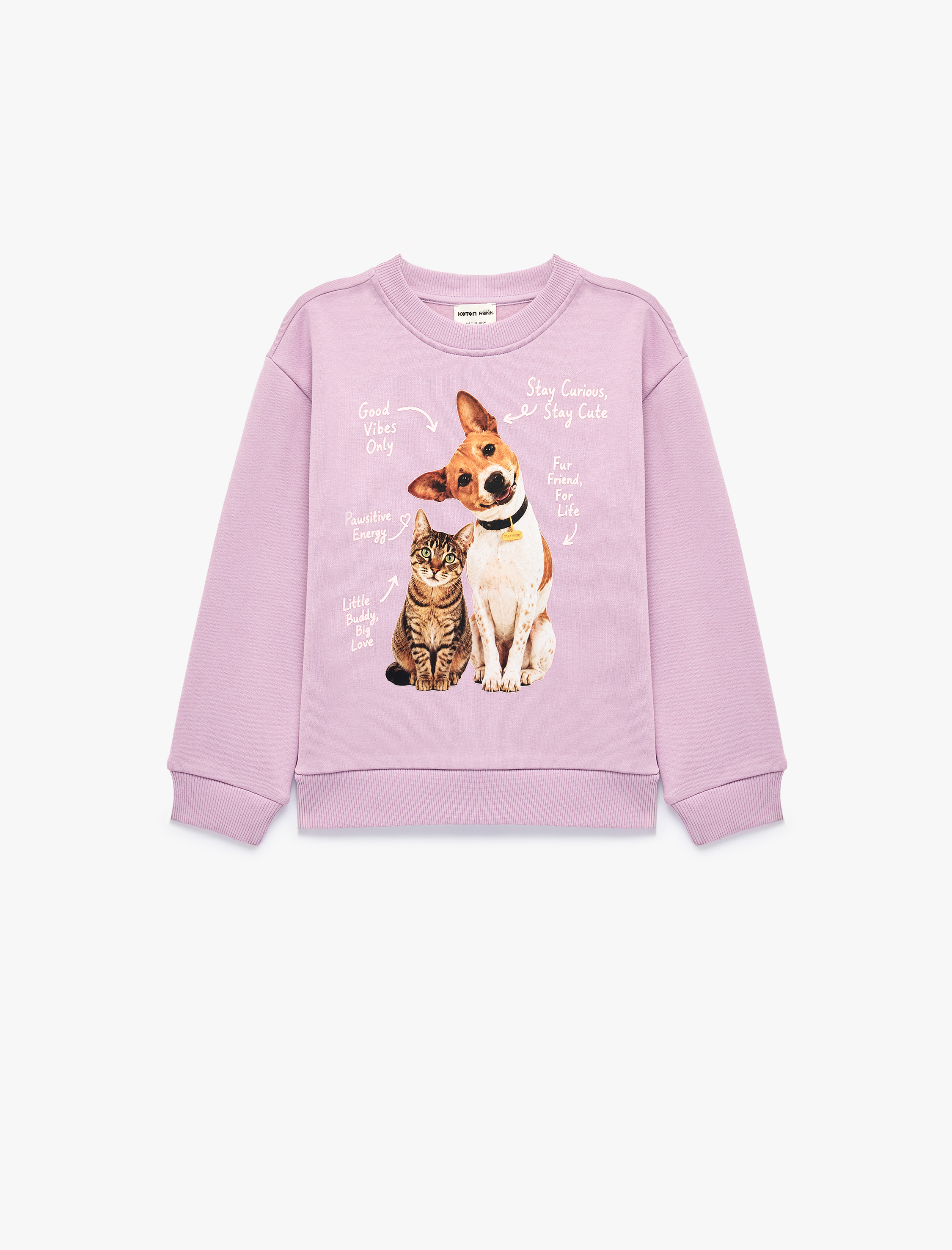  Kız Çocuk Kedi ve Köpek Baskılı Şardonlu Bisiklet Yaka Uzun Kollu Sweatshirt