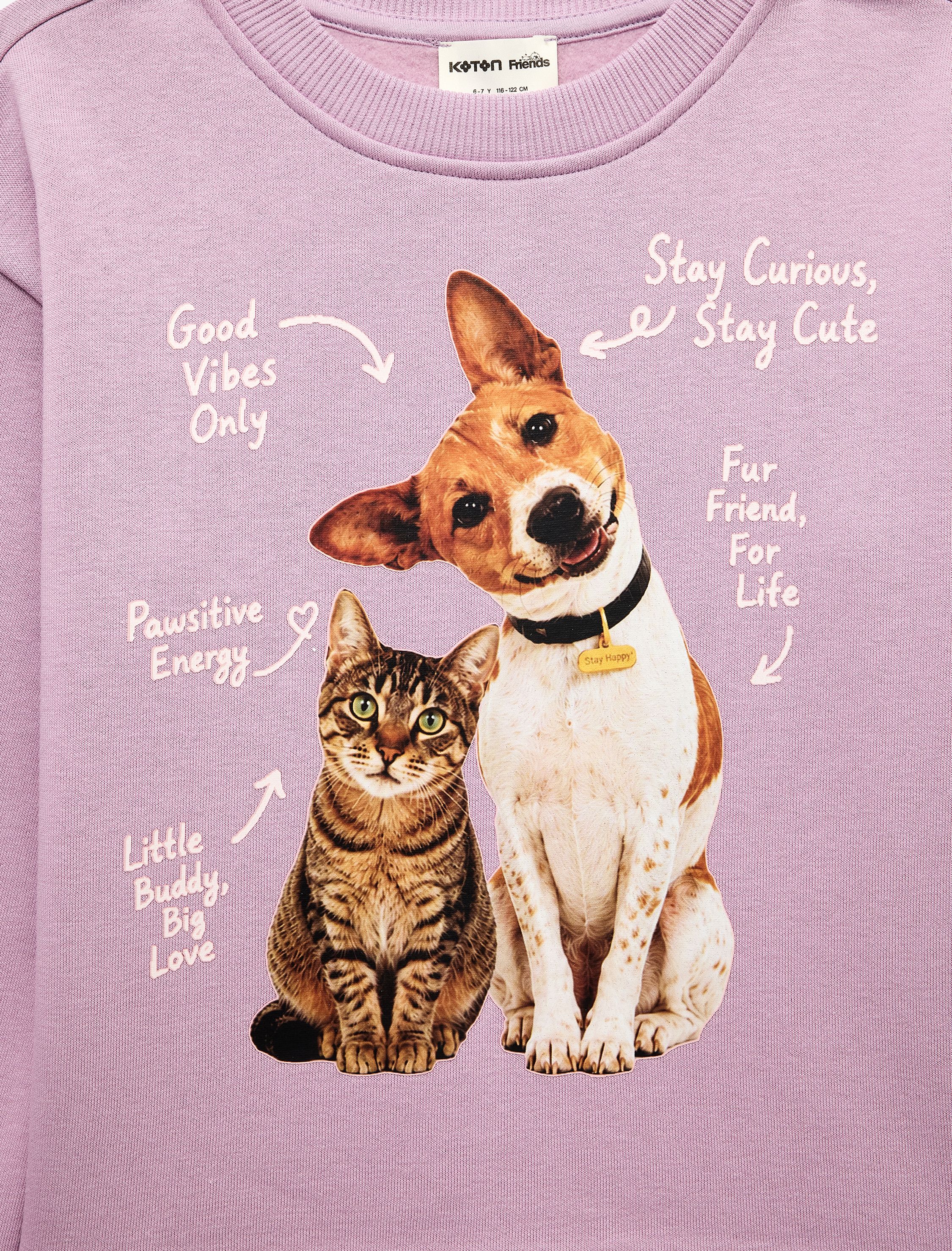  Kız Çocuk Kedi ve Köpek Baskılı Şardonlu Bisiklet Yaka Uzun Kollu Sweatshirt