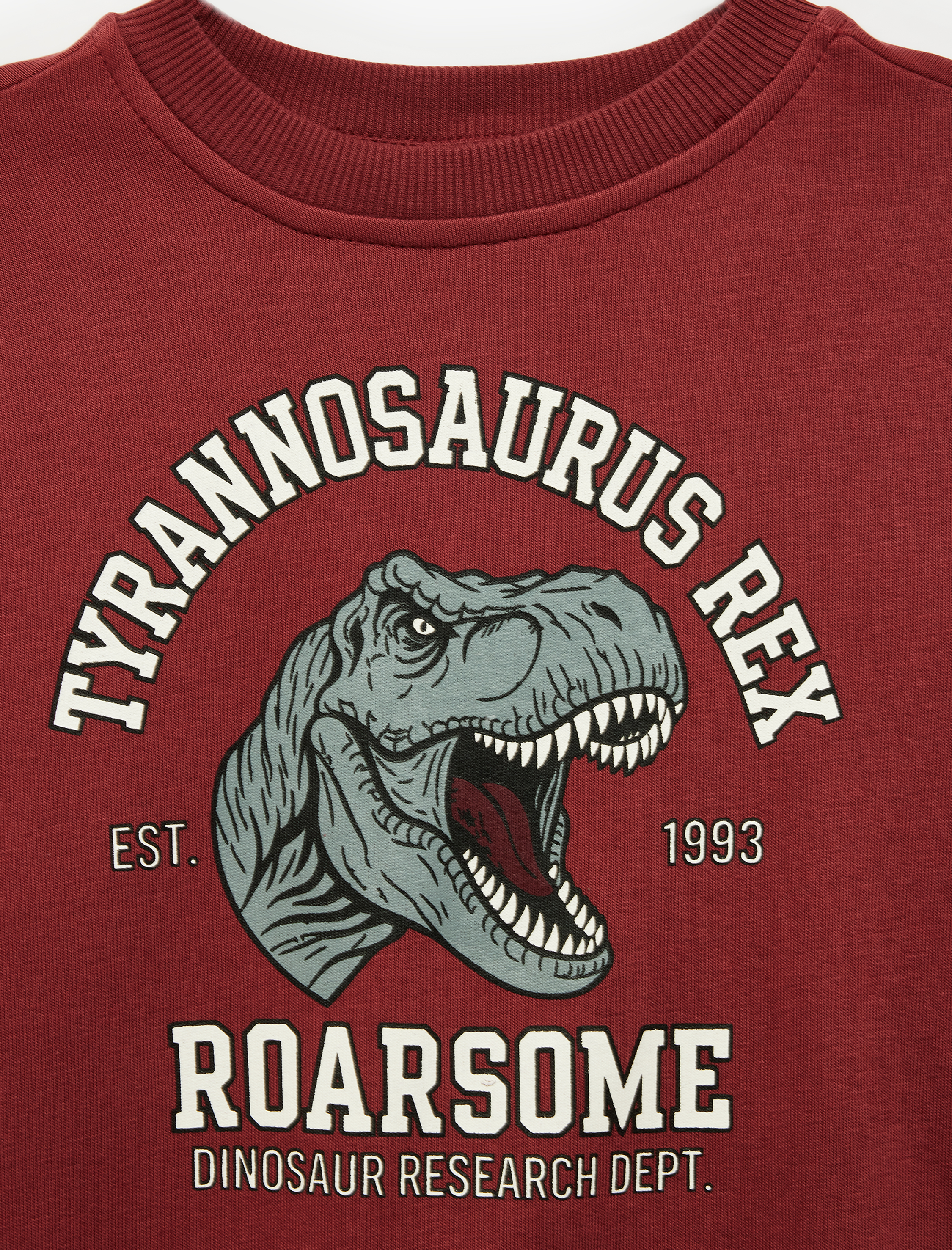  Erkek Çocuk Dinozor Baskılı Bisiklet Yaka Uzun Kollu Sweatshirt