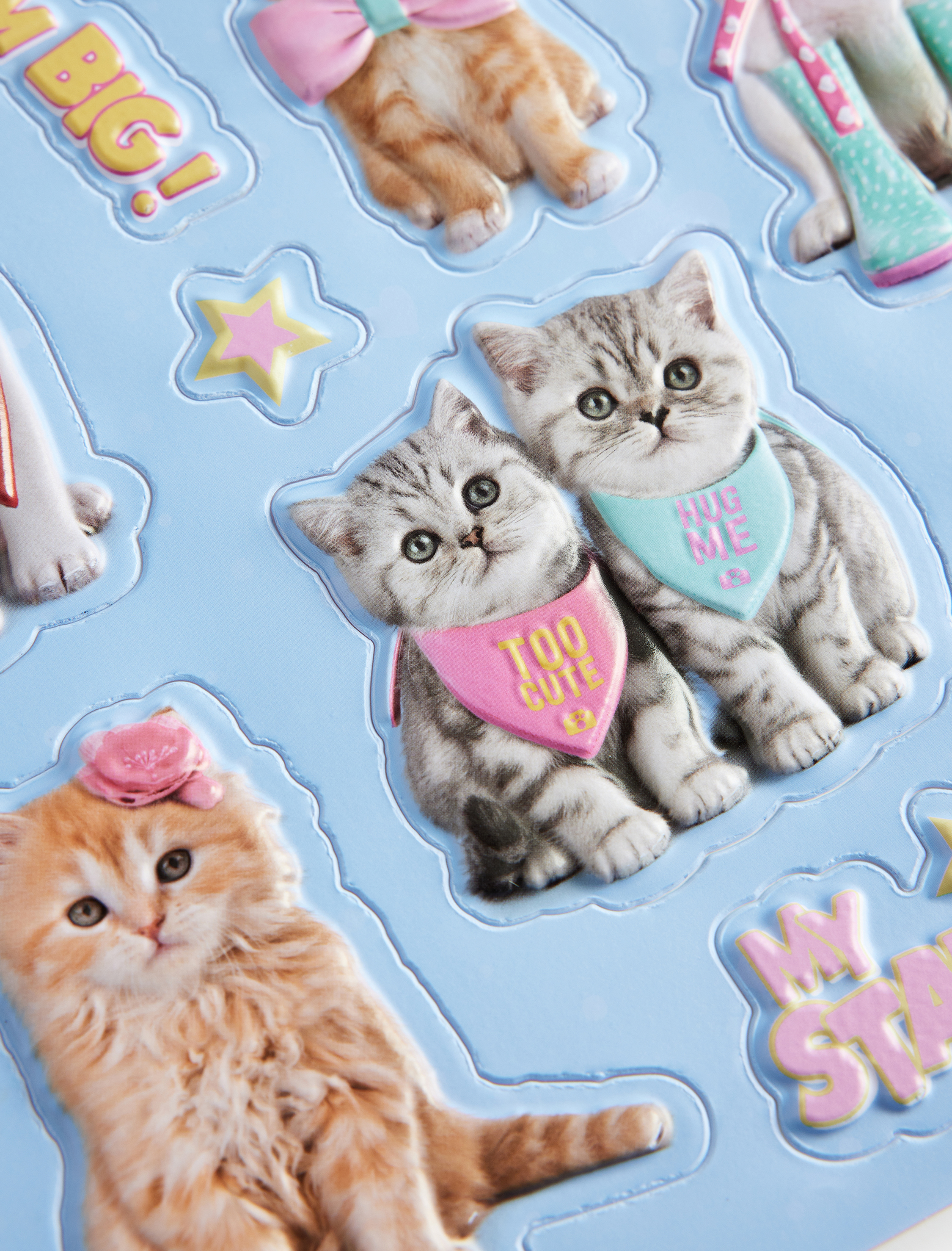  Kadın Studio Pets Lisanslı Evcil Hayvan Figürlü Sticker Seti