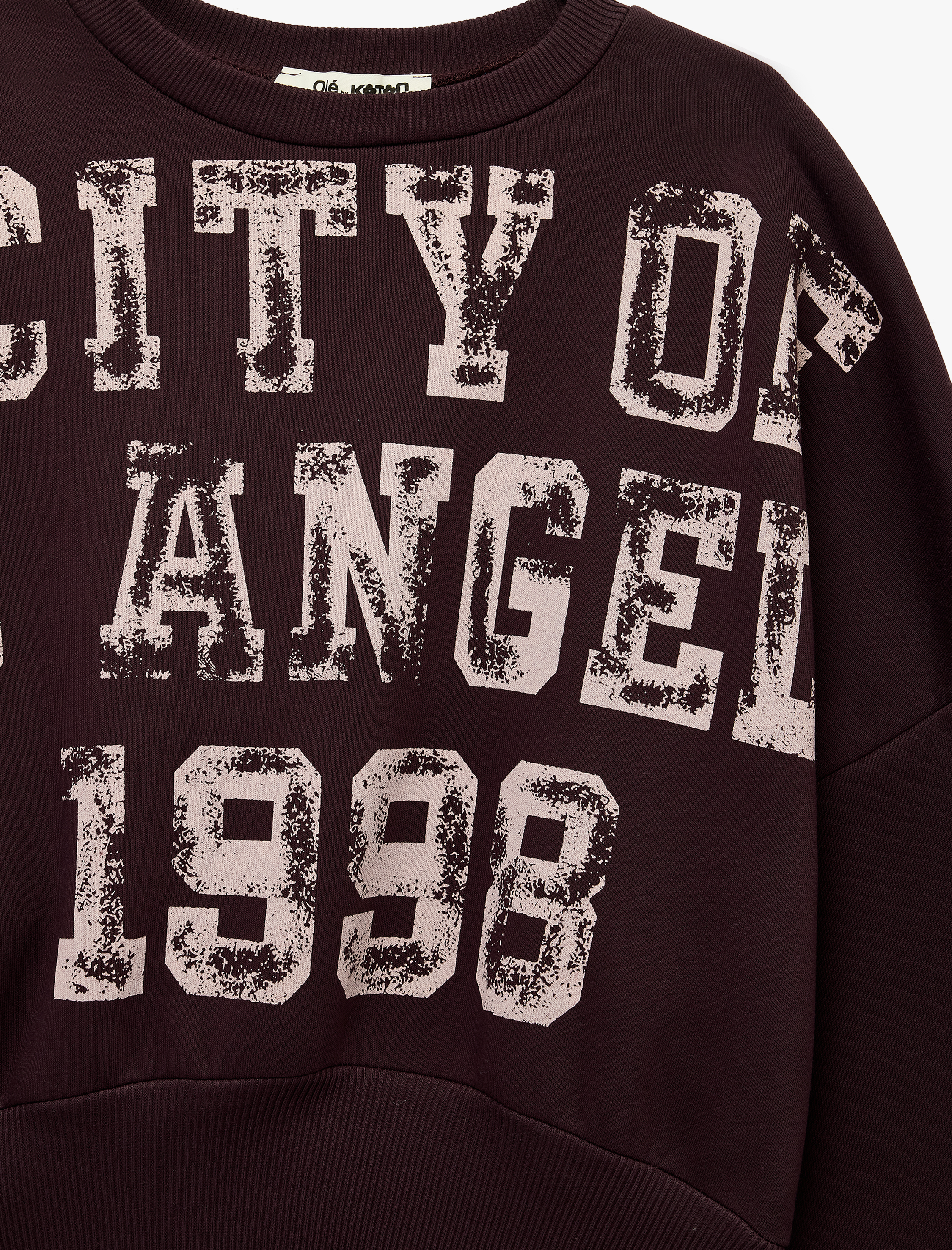   Ribanalı Bisiklet Yaka Uzun Kollu Baskılı Sweatshirt