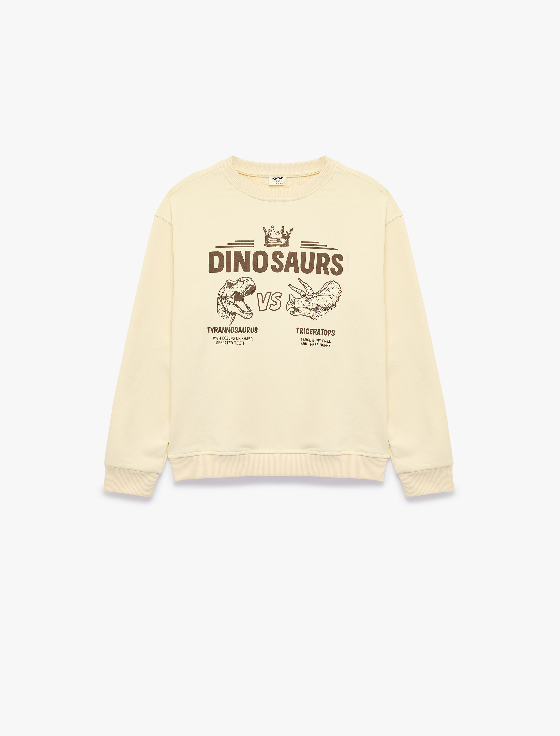  Erkek Çocuk Dinozor Baskılı Bisiklet Yaka Uzun Kollu Oversize Sweatshirt
