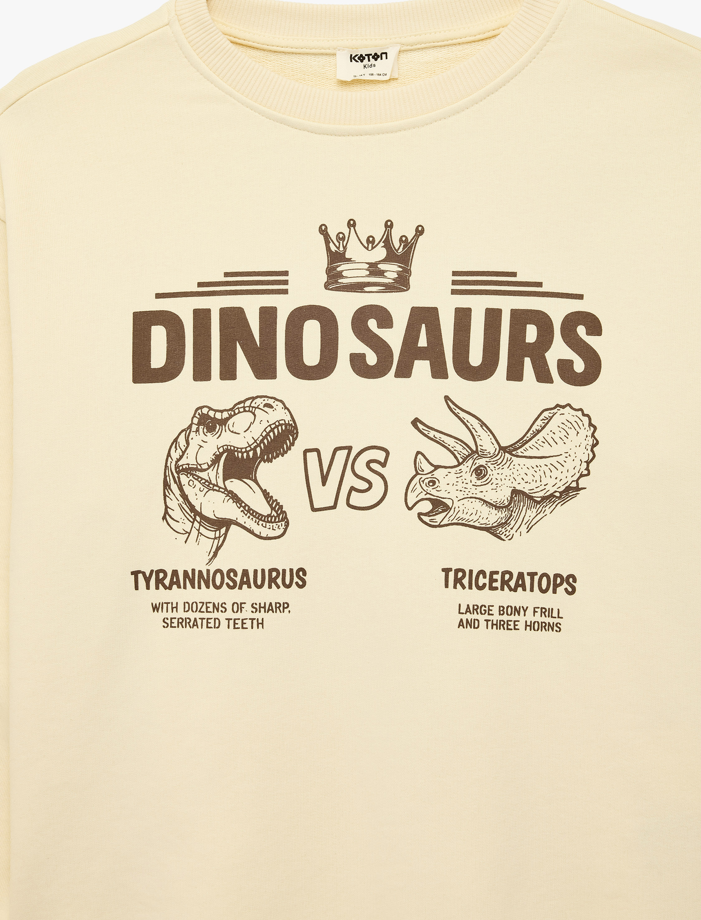  Erkek Çocuk Dinozor Baskılı Bisiklet Yaka Uzun Kollu Oversize Sweatshirt