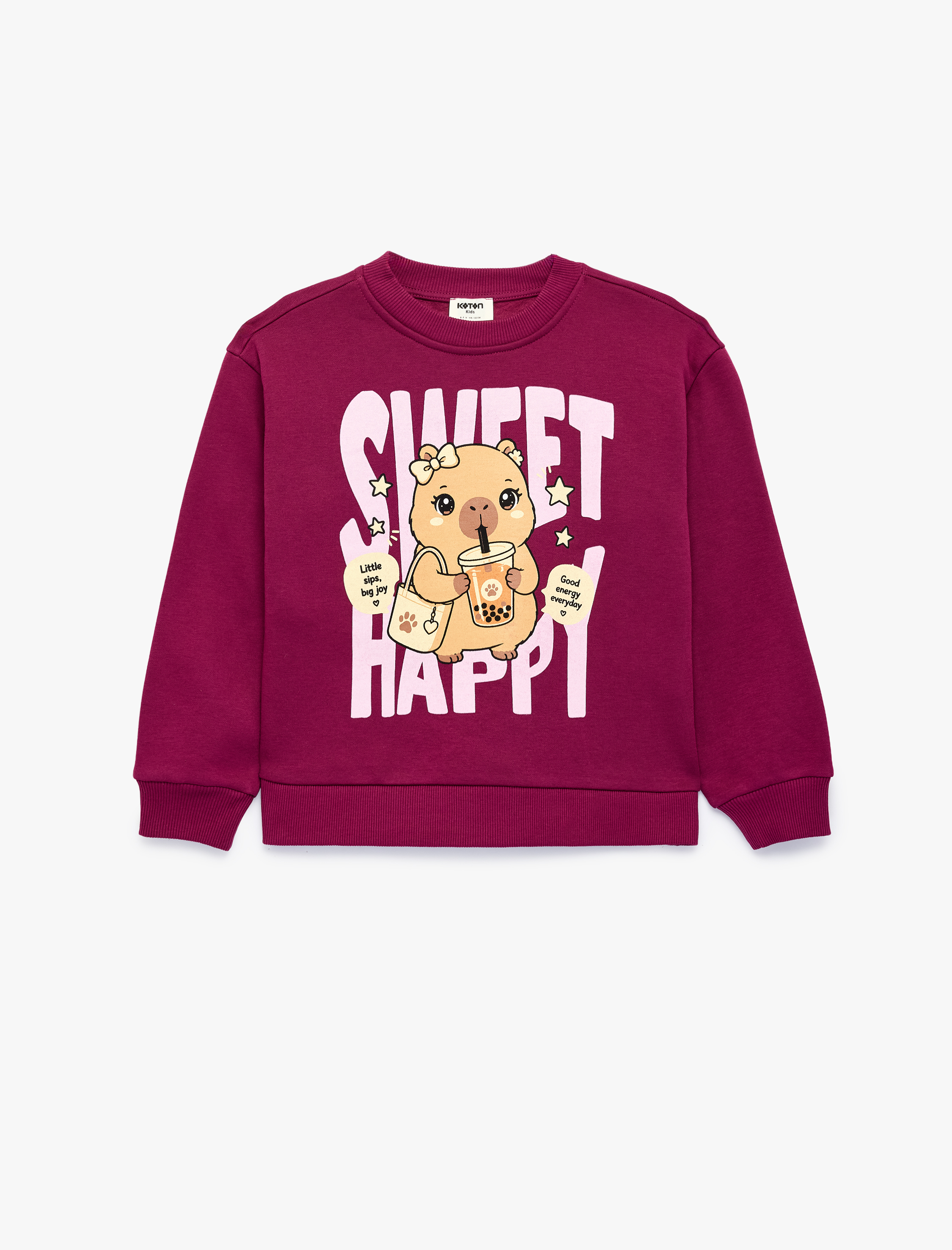  Kız Çocuk Baskılı Uzun Kollu Bisiklet Yaka Şardonlu Sweatshirt