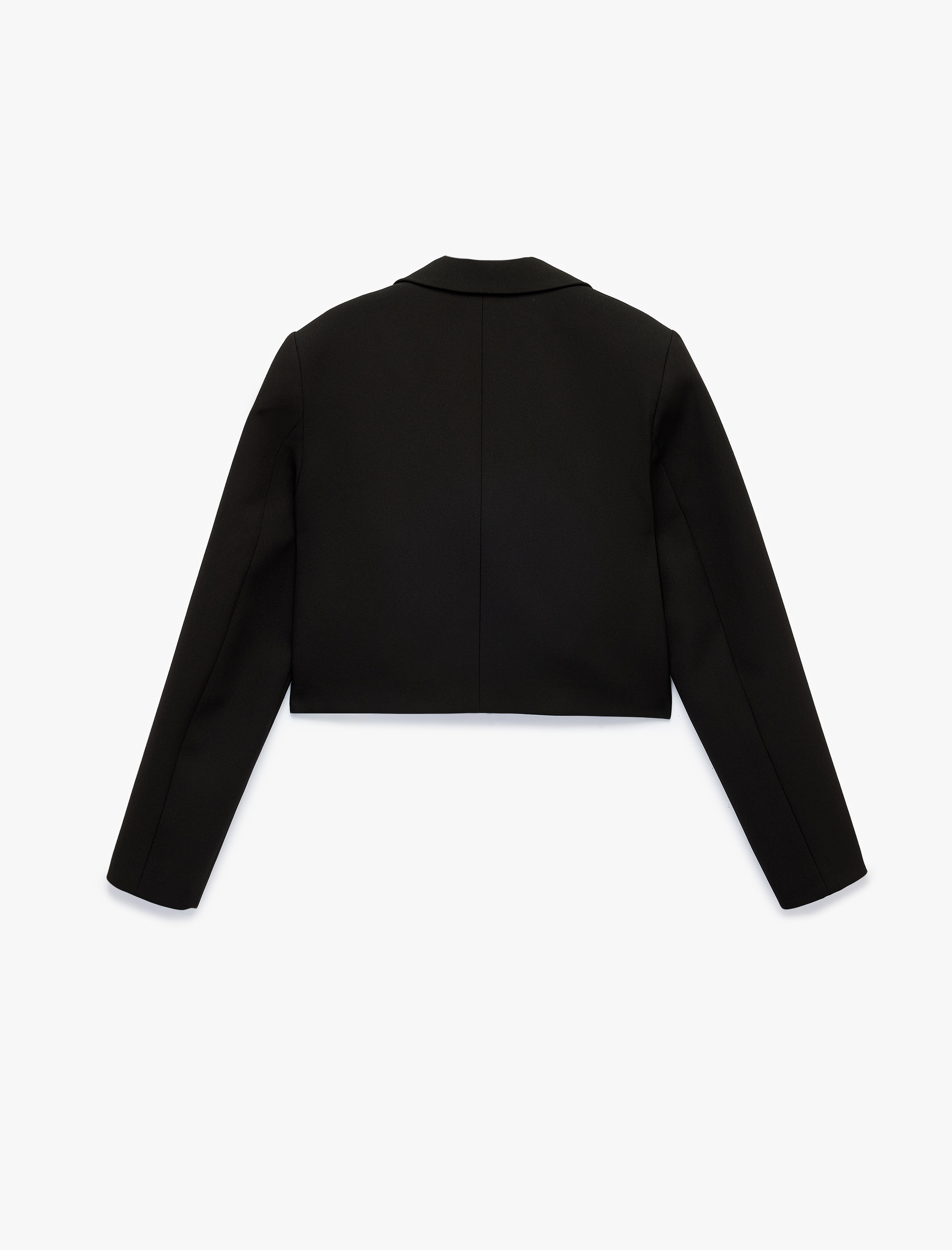   Düğmeli Geniş Yaka Uzun Kollu Crop Blazer Ceket