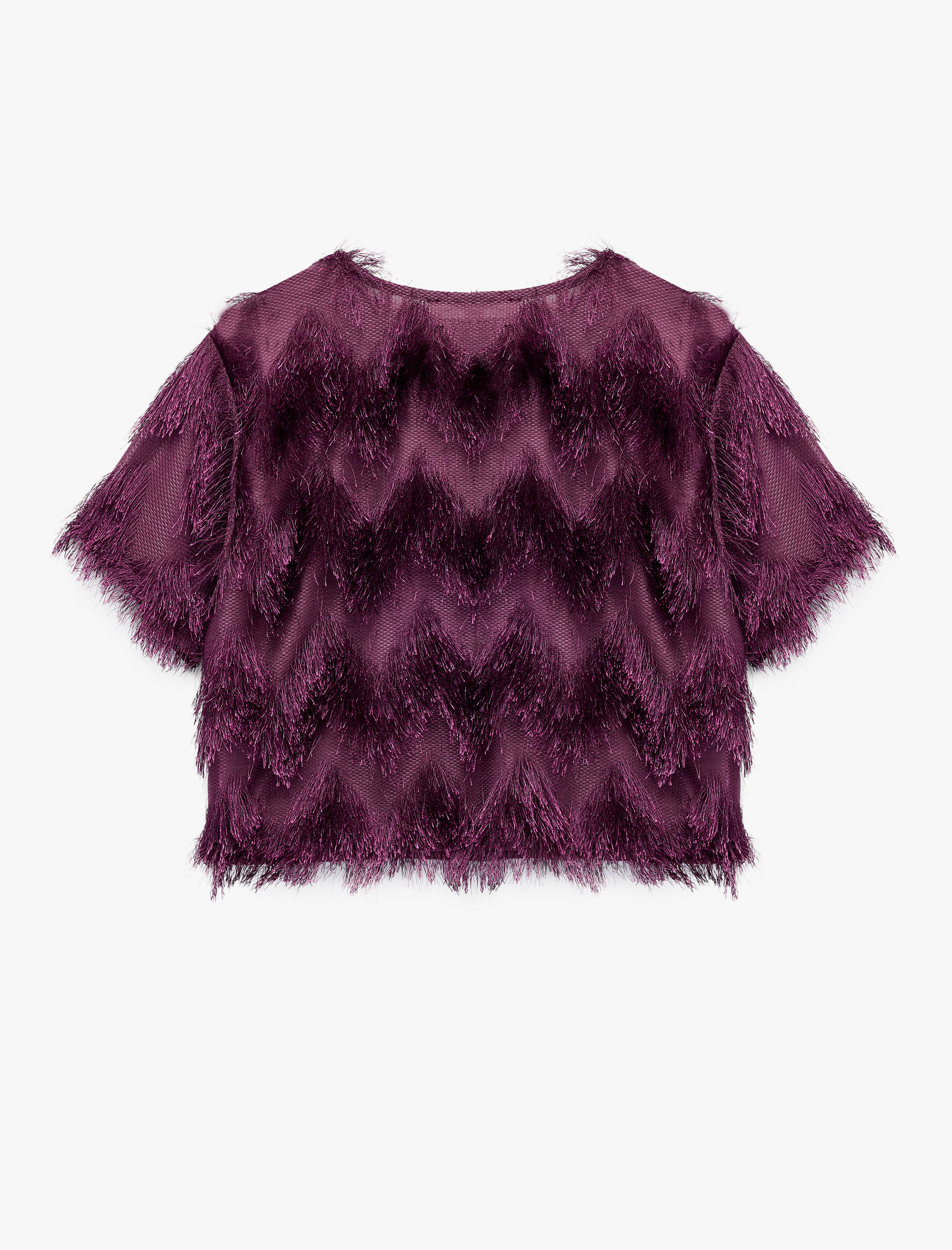   Peluş Detaylı Bisiklet Yaka Kısa Kollu Crop Bluz