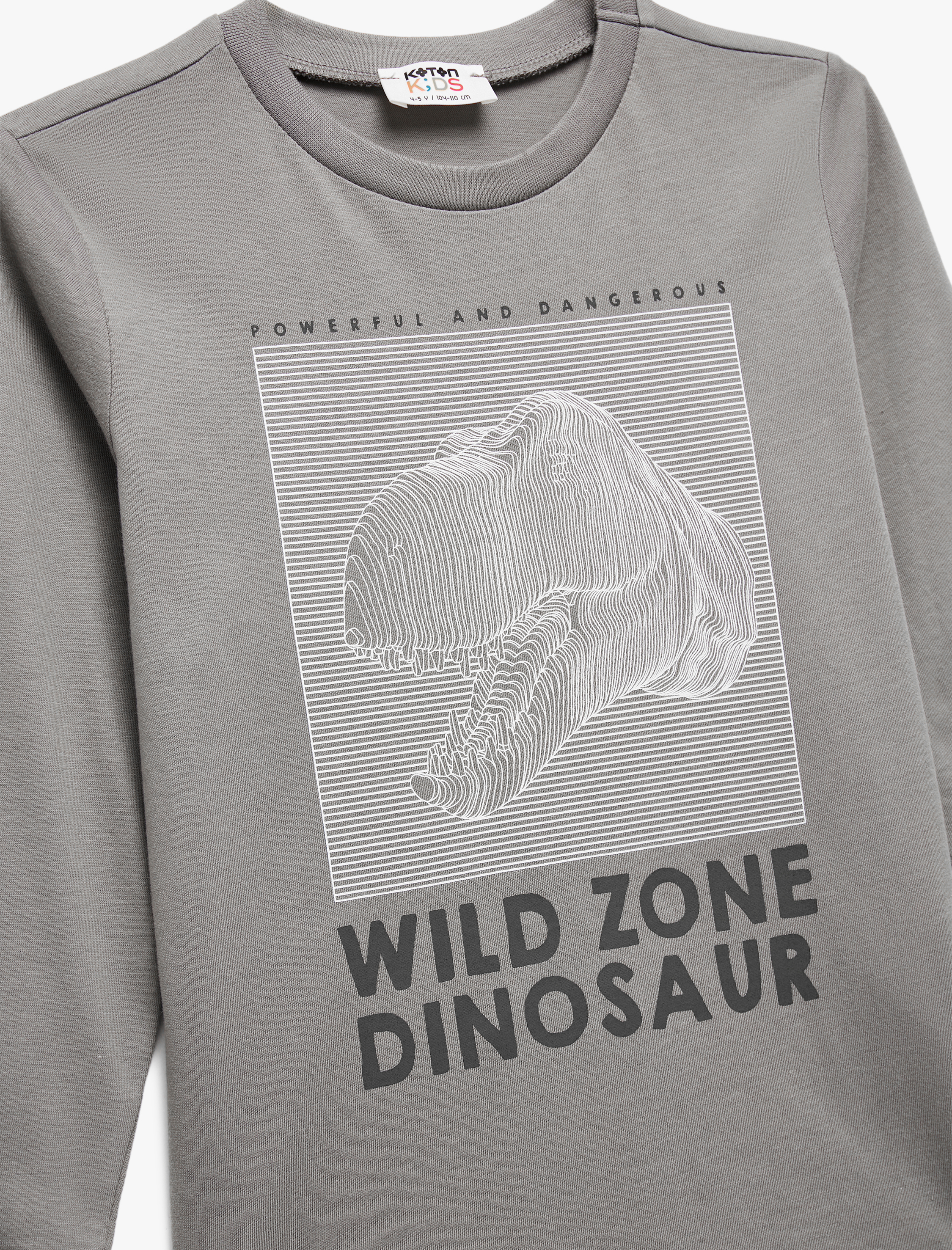  Erkek Çocuk Pamuklu Uzun Kollu Bisiklet Yaka Dinozor Baskılı Tişört