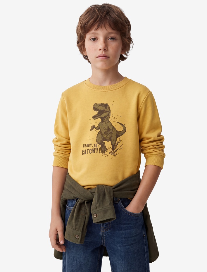 Erkek Çocuk Dinozor Baskılı Uzun Kollu Bisiklet Yaka Şardonlu Sweatshirt