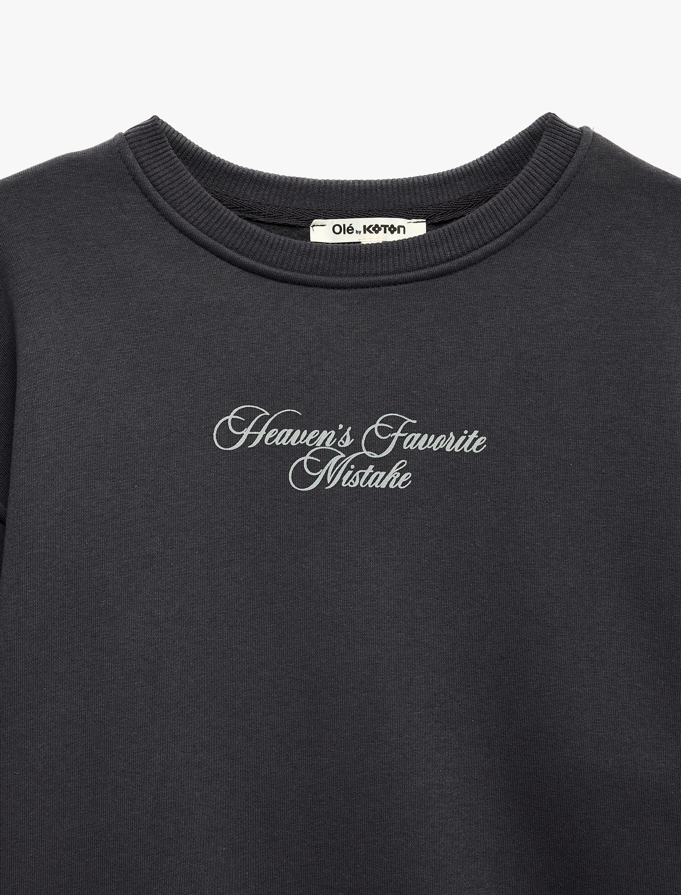   Rahat Kalıp Şardonlu Bisiklet Yaka Uzun Kollu Arkası Kanat Baskılı Sweatshirt