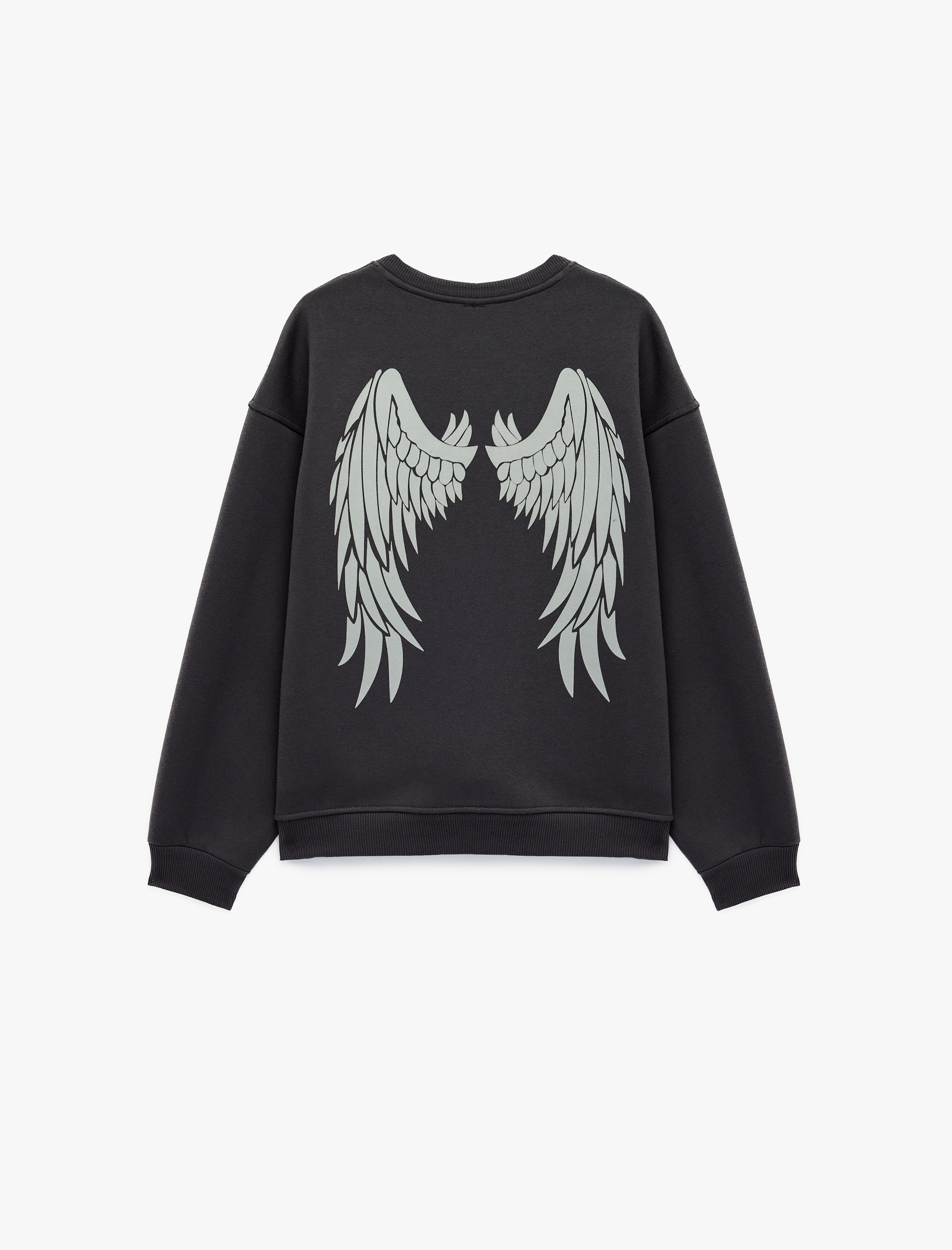  Rahat Kalıp Şardonlu Bisiklet Yaka Uzun Kollu Arkası Kanat Baskılı Sweatshirt
