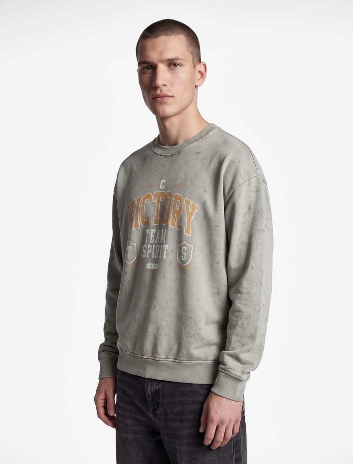  Üç İplik Şardonlu Rahat Kalıp Yıkamalı Bisiklet Yaka Baskılı Sweatshirt