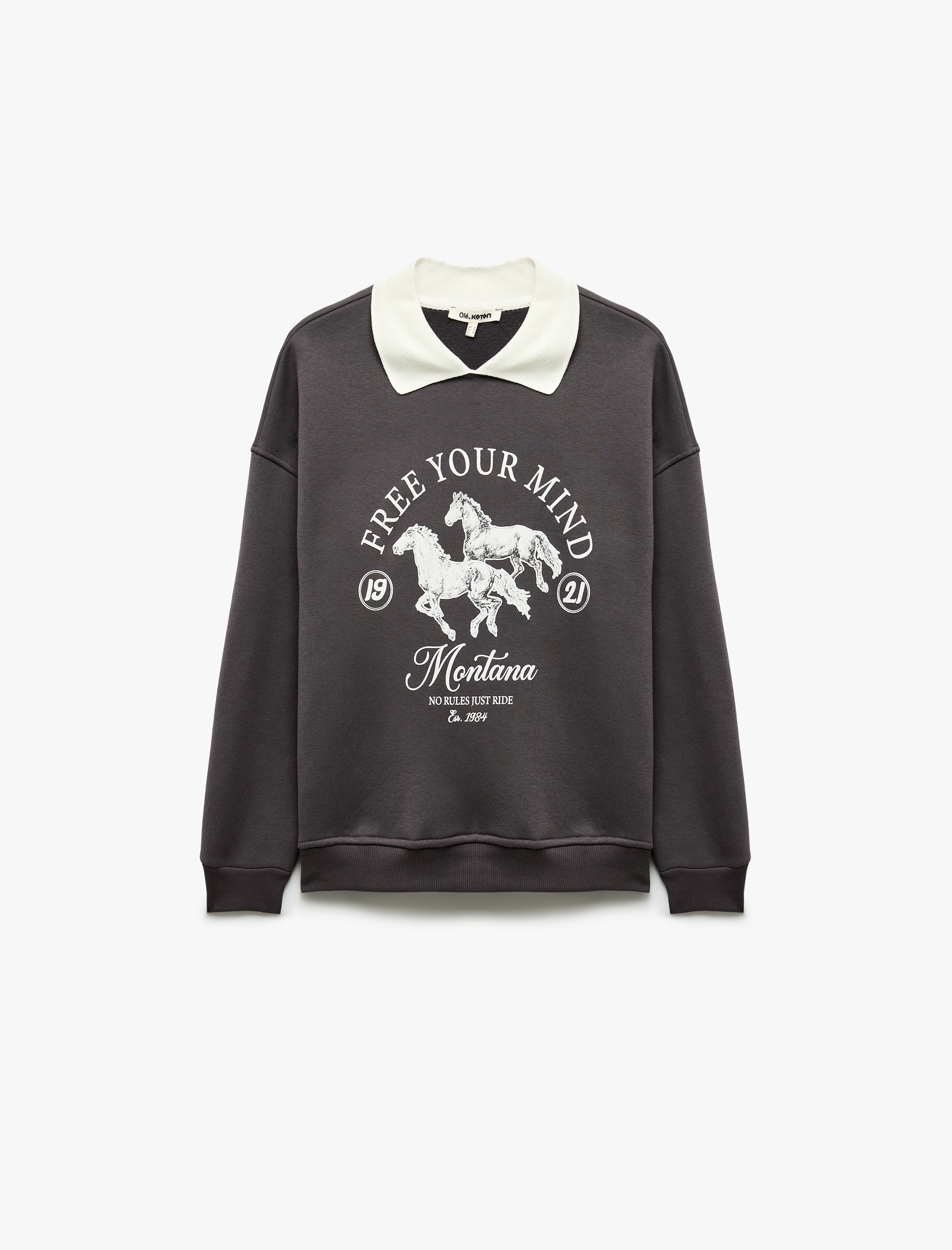   Şardonlu Rahat Kalıp Uzun Kollu Baskılı Polo Yaka Sweatshirt