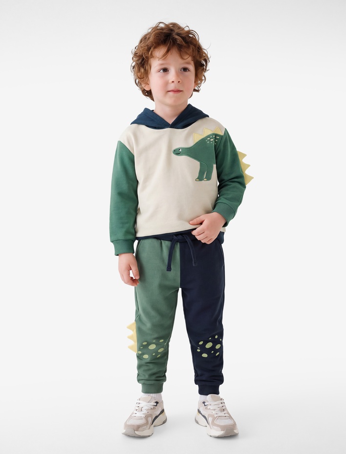 Erkek Bebek Uzun Kollu Pamuklu Şardonlu Dinozor Baskılı Kapşonlu Sweatshirt