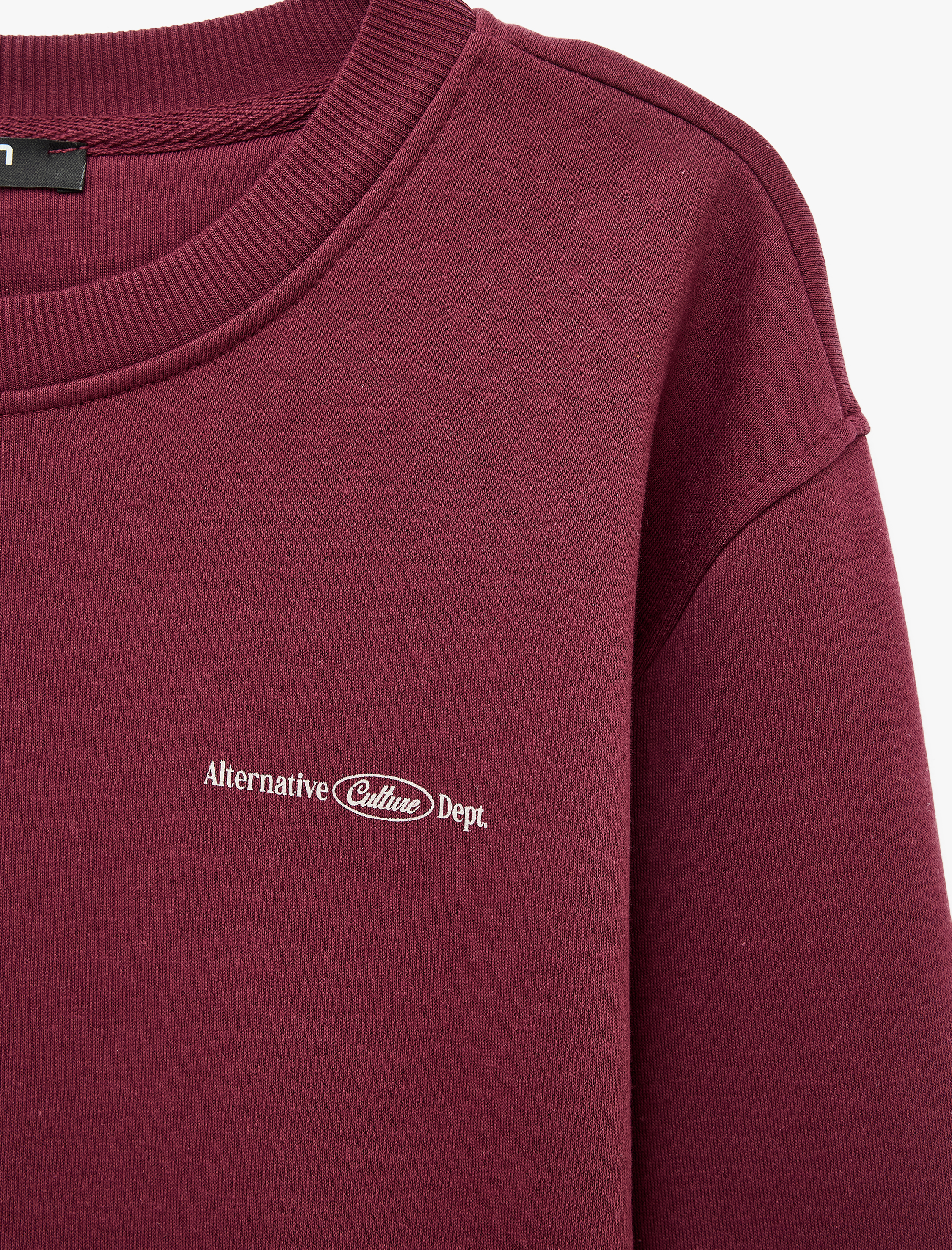   Uzun Kollu Üç İplik Şardonlu Bisiklet Yaka Baskılı Sweatshirt