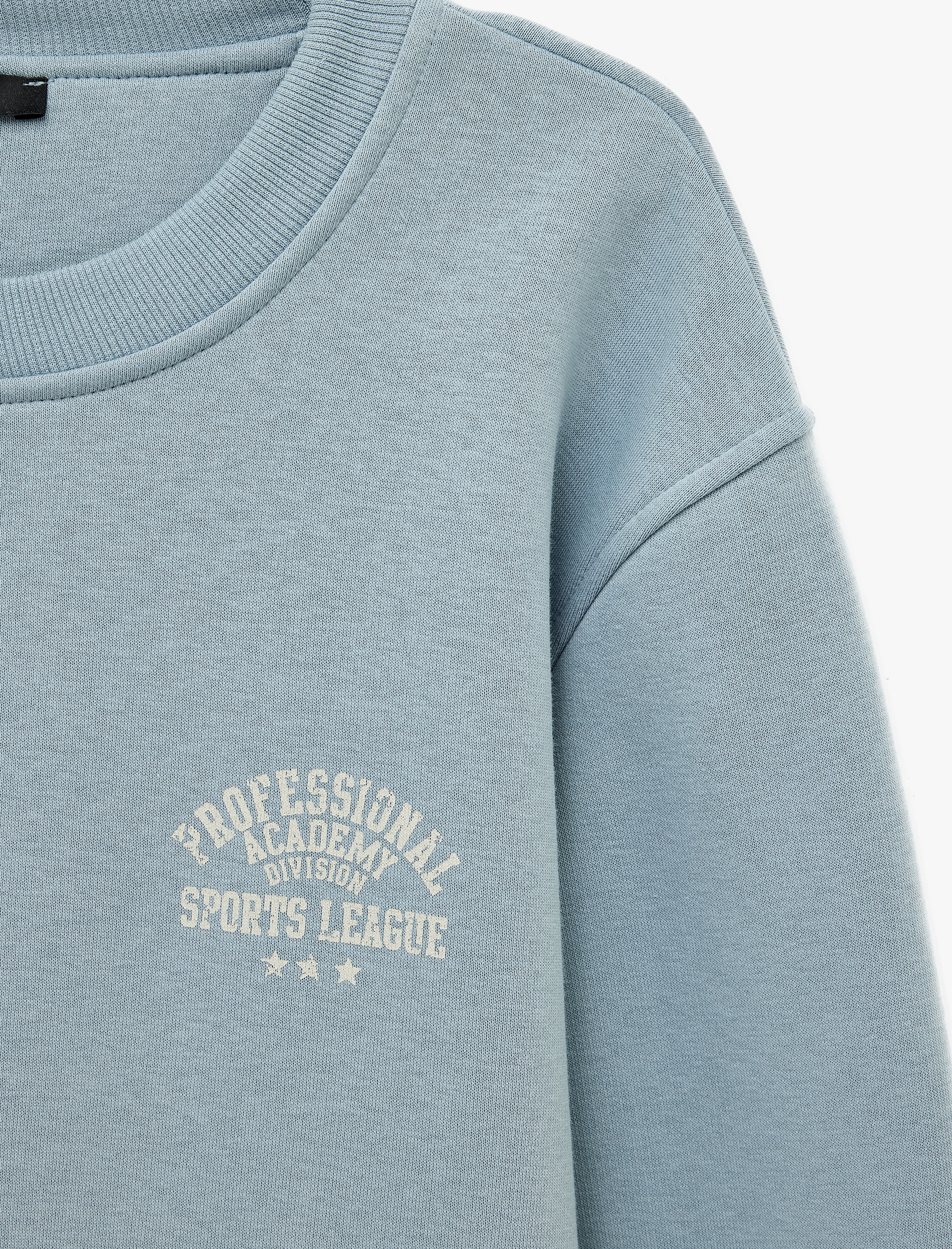   Üç İplik Şardonlu Bisiklet Yaka Uzun Kollu Baskılı Sweatshirt