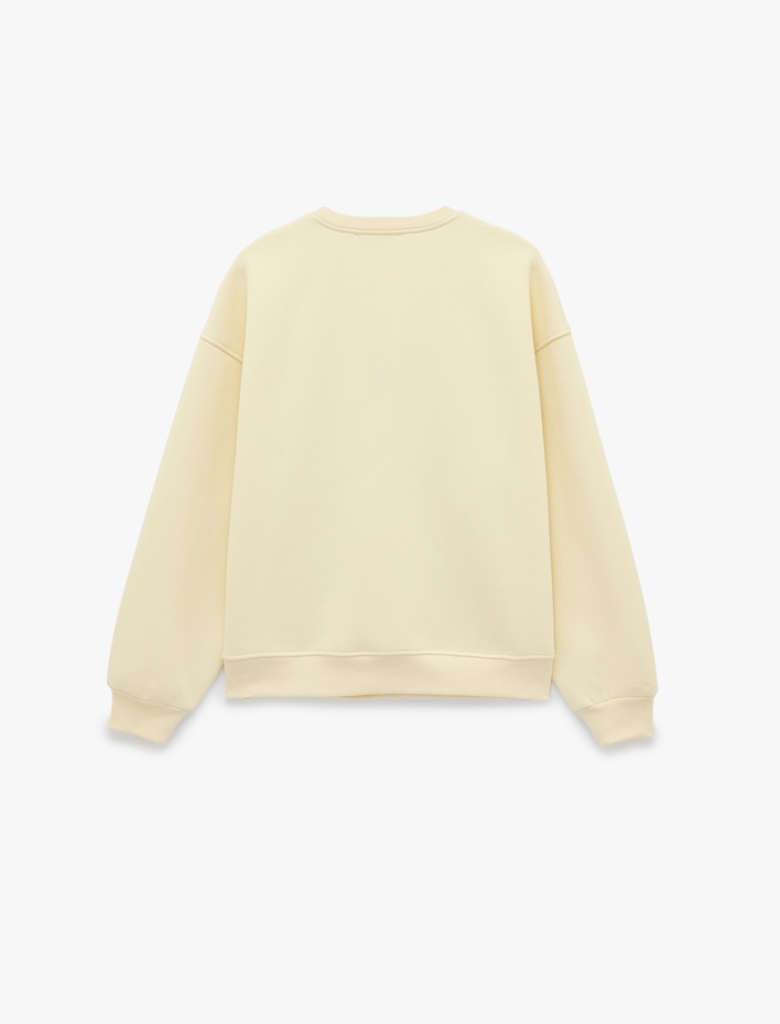  Köpek Nakışlı Rahat Kalıp Şardonlu Bisiklet Yaka Uzun Kollu Sweatshirt