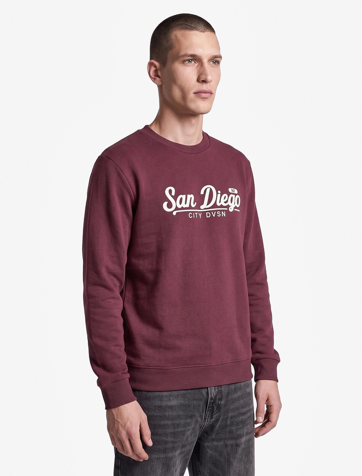  Uzun Kollu Üç İplik Şardonlu Nakışlı Bisiklet Yaka Sweatshirt
