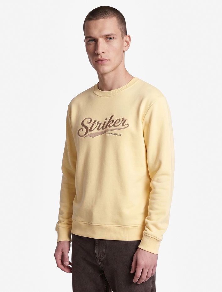  Üç İplik Şardonlu Uzun Kollu Bisiklet Yaka Baskılı Sweatshirt