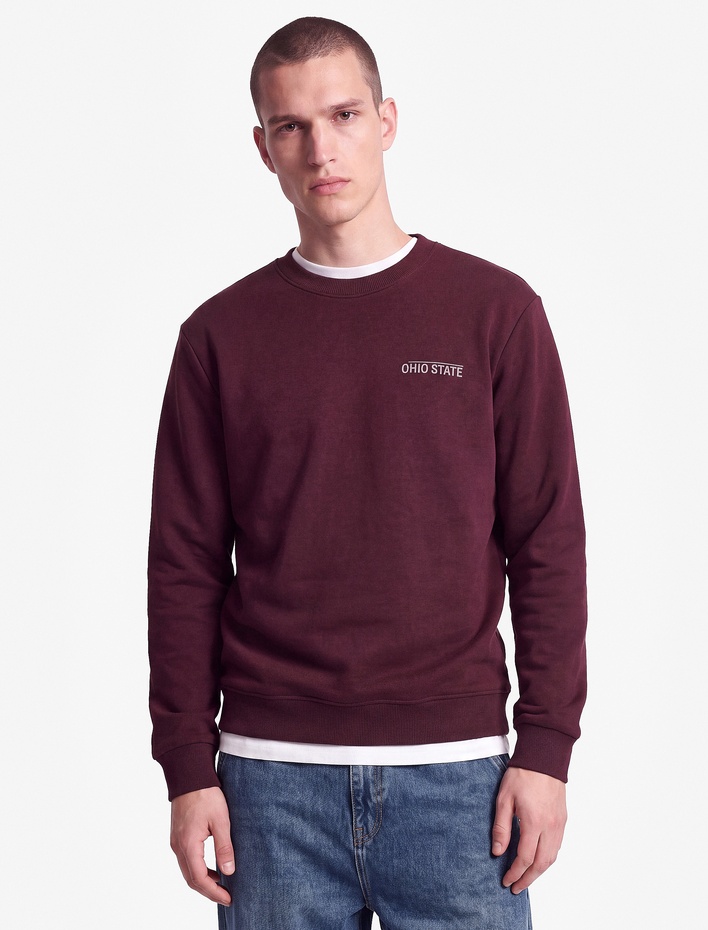  Üç İplik Şardonlu Uzun Kollu Bisiklet Yaka Baskılı Sweatshirt