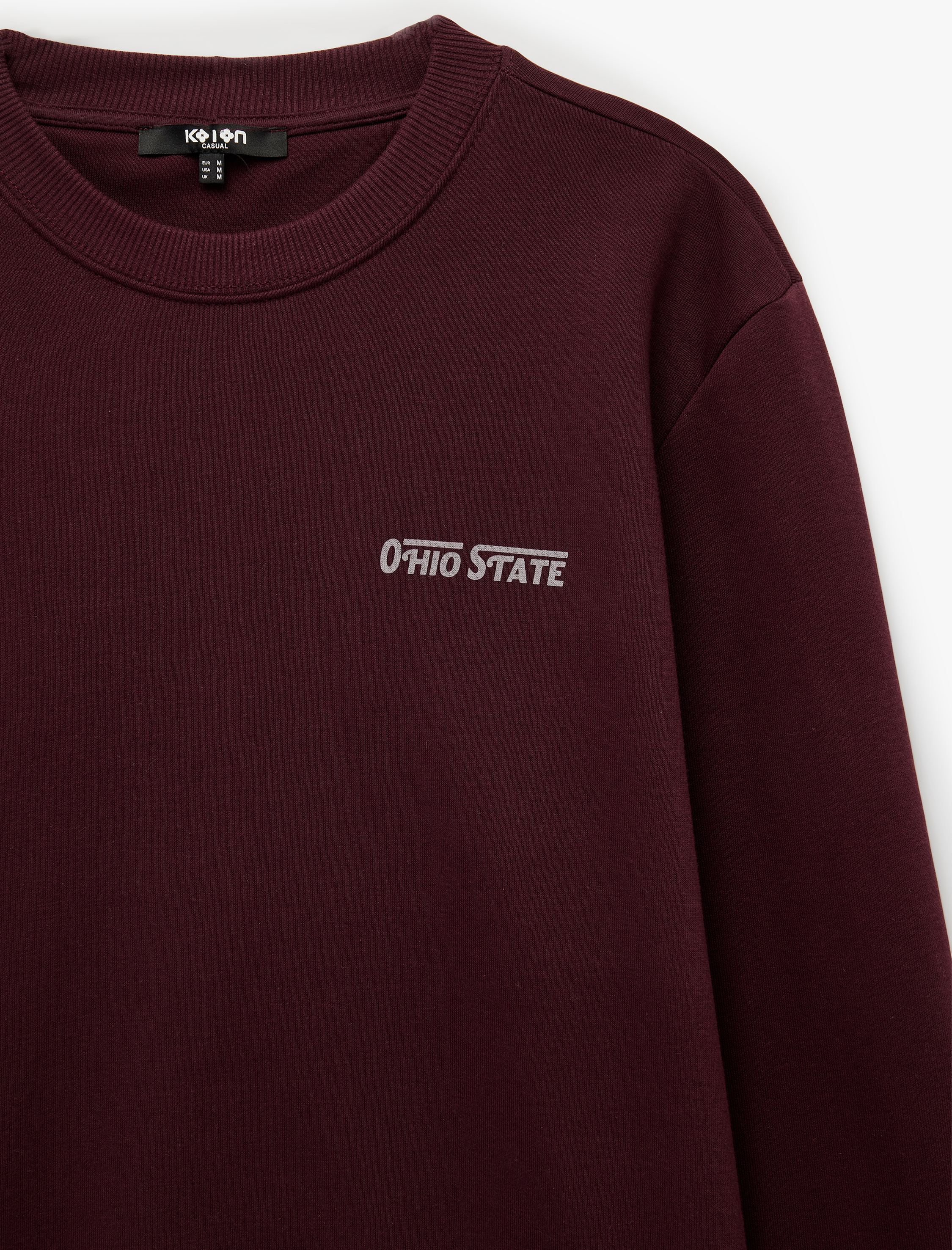   Üç İplik Şardonlu Uzun Kollu Bisiklet Yaka Baskılı Sweatshirt