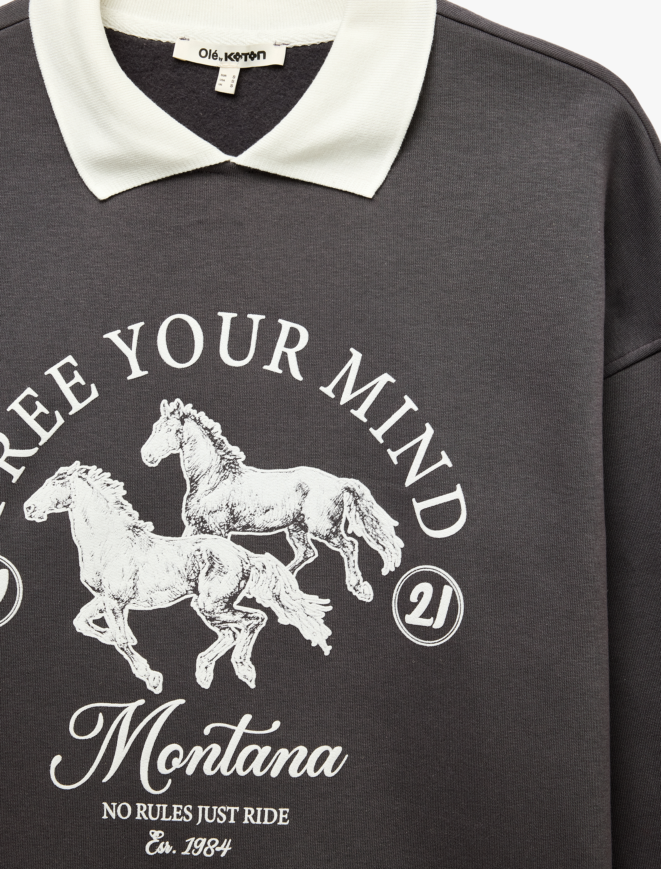   Şardonlu Rahat Kalıp Uzun Kollu Baskılı Polo Yaka Sweatshirt