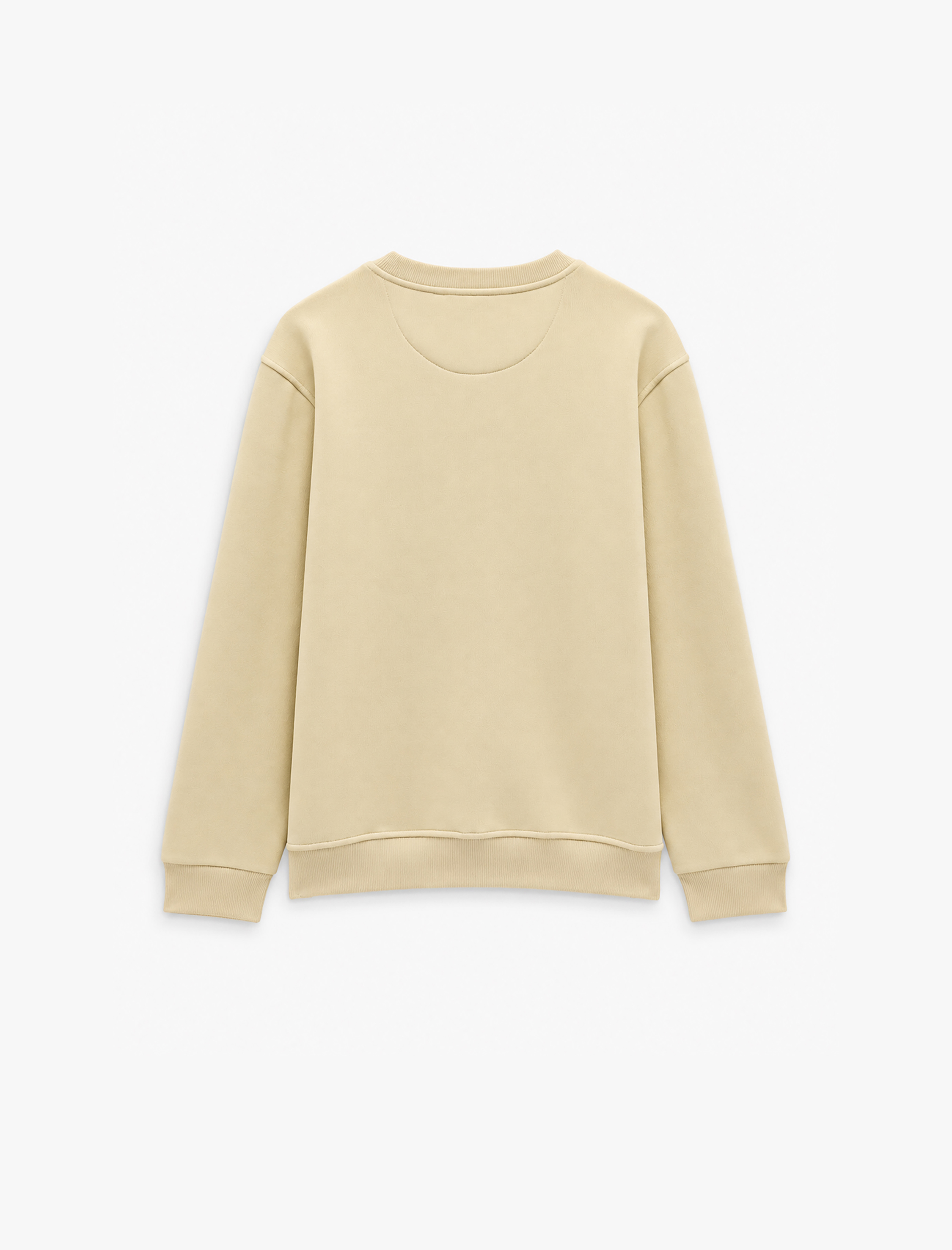   Üç İplik Şardonlu Bisiklet Yaka Uzun Kollu Baskılı Sweatshirt