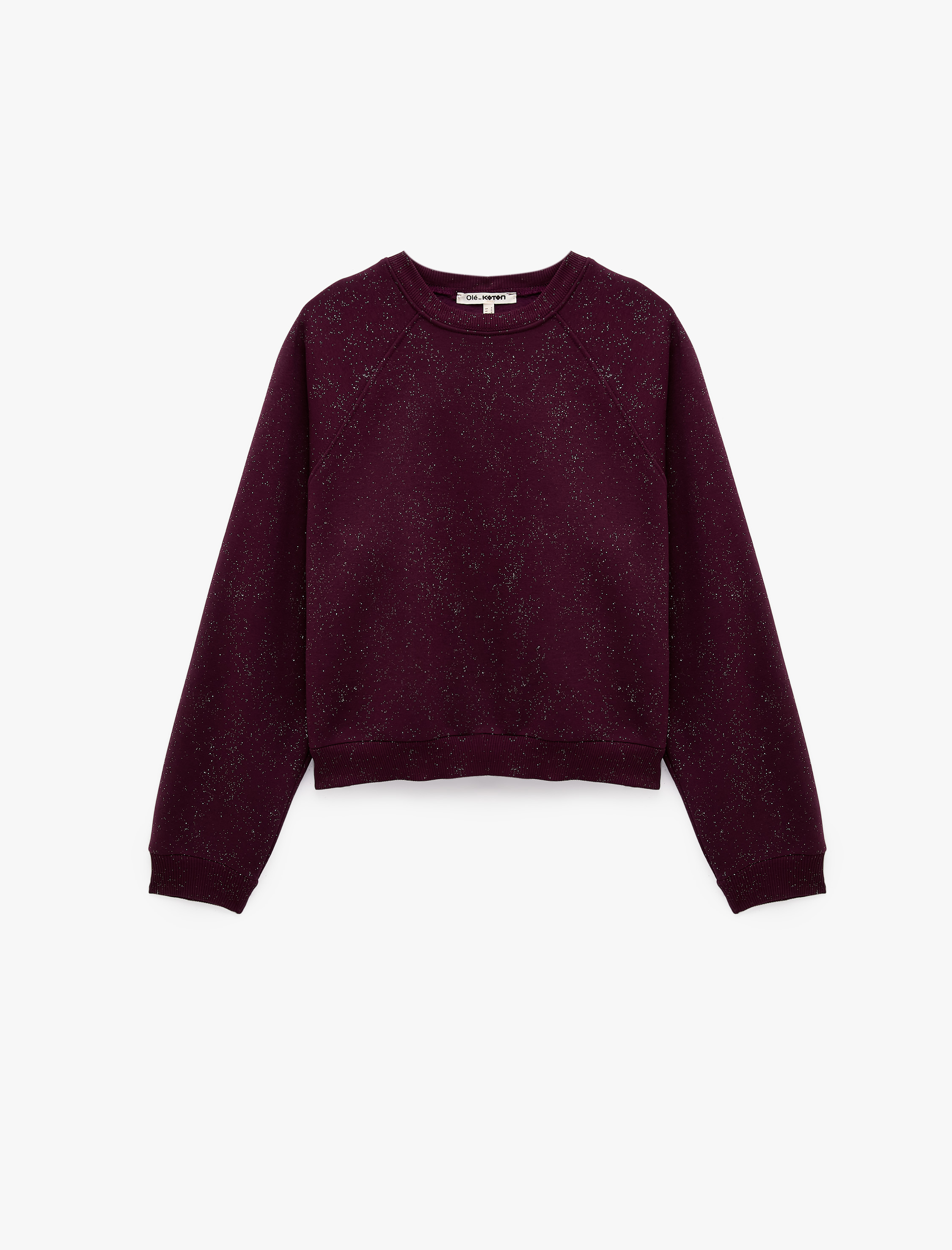  Simli Şardonlu Rahat Kalıp Reglan Kollu Bisiklet Yaka Sweatshirt