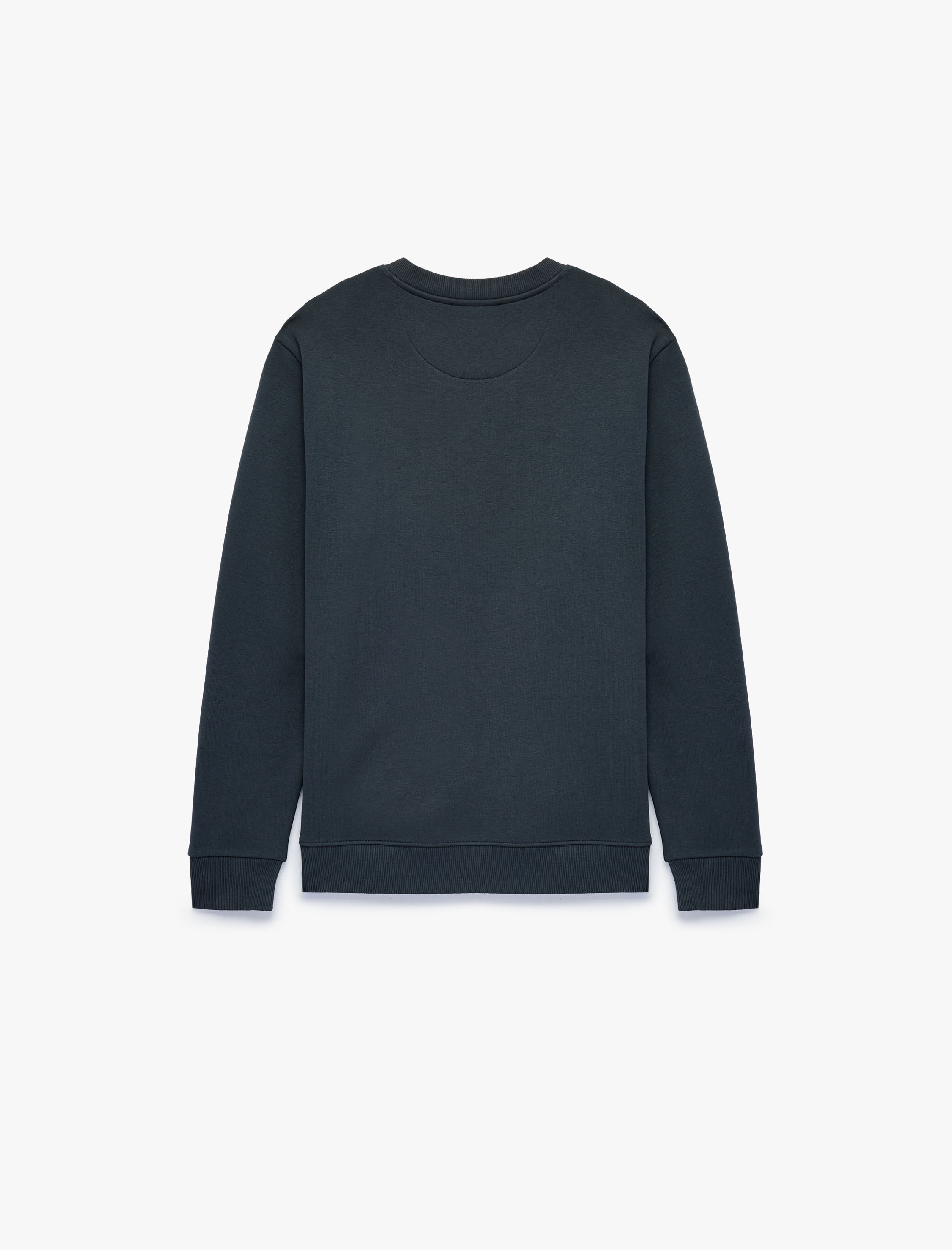   Regular Fit Üç İplik Şardonlu Uzun Kollu Bisiklet Yaka Baskılı Sweatshirt