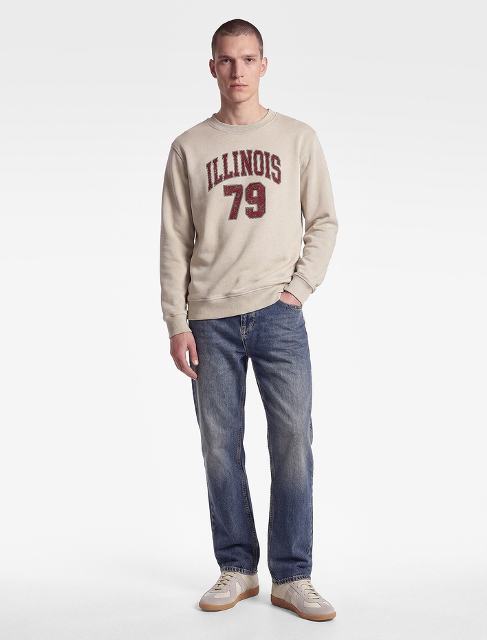  Üç İplik Şardonlu Uzun Kollu Bisiklet Yaka Baskılı Sweatshirt