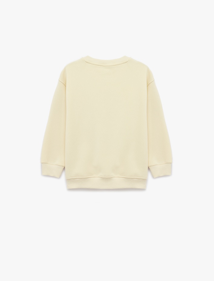 Erkek Çocuk SWEATSHIRTS