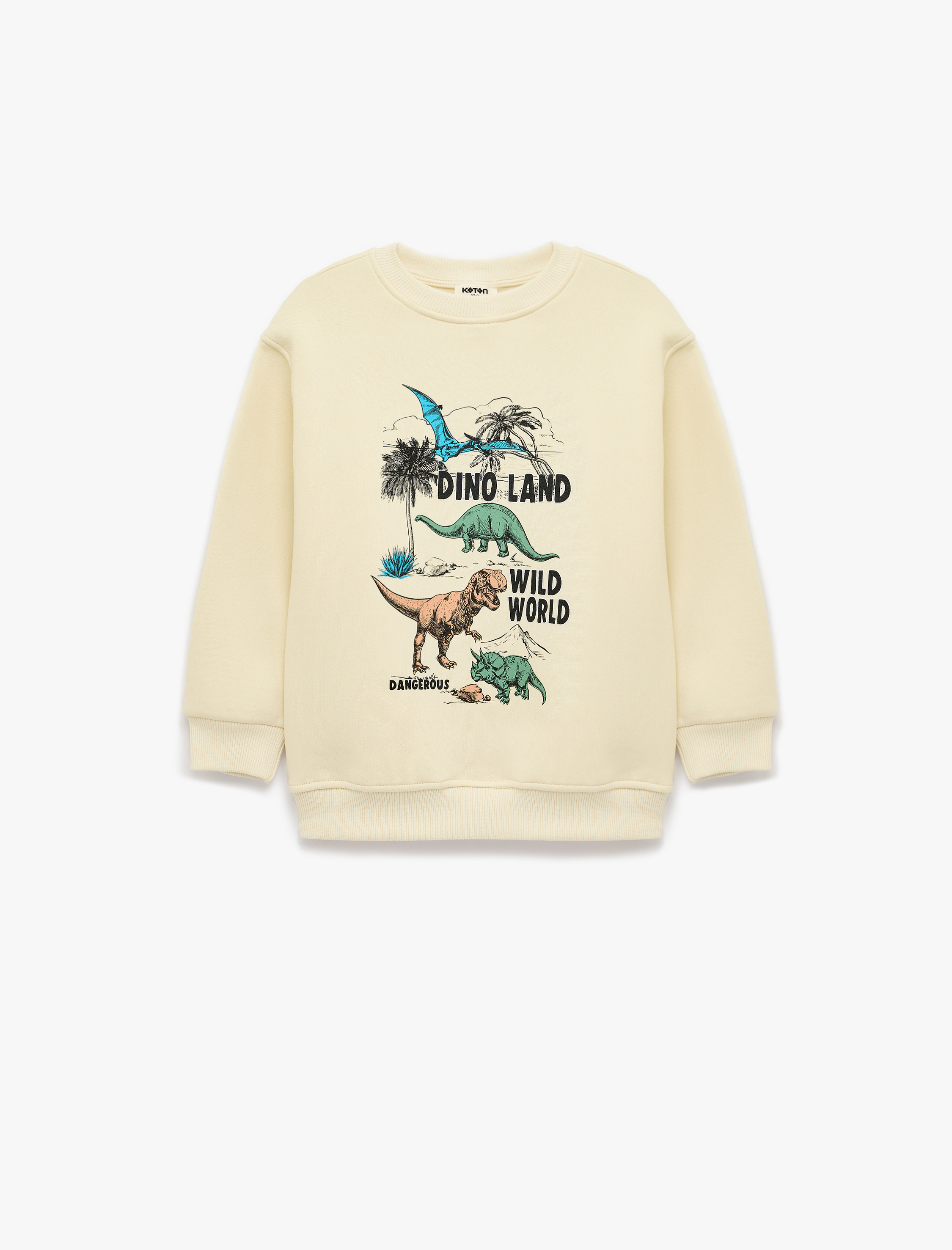  Erkek Çocuk SWEATSHIRTS