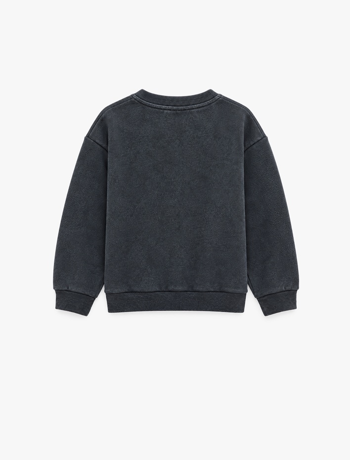 Erkek Çocuk SWEATSHIRTS