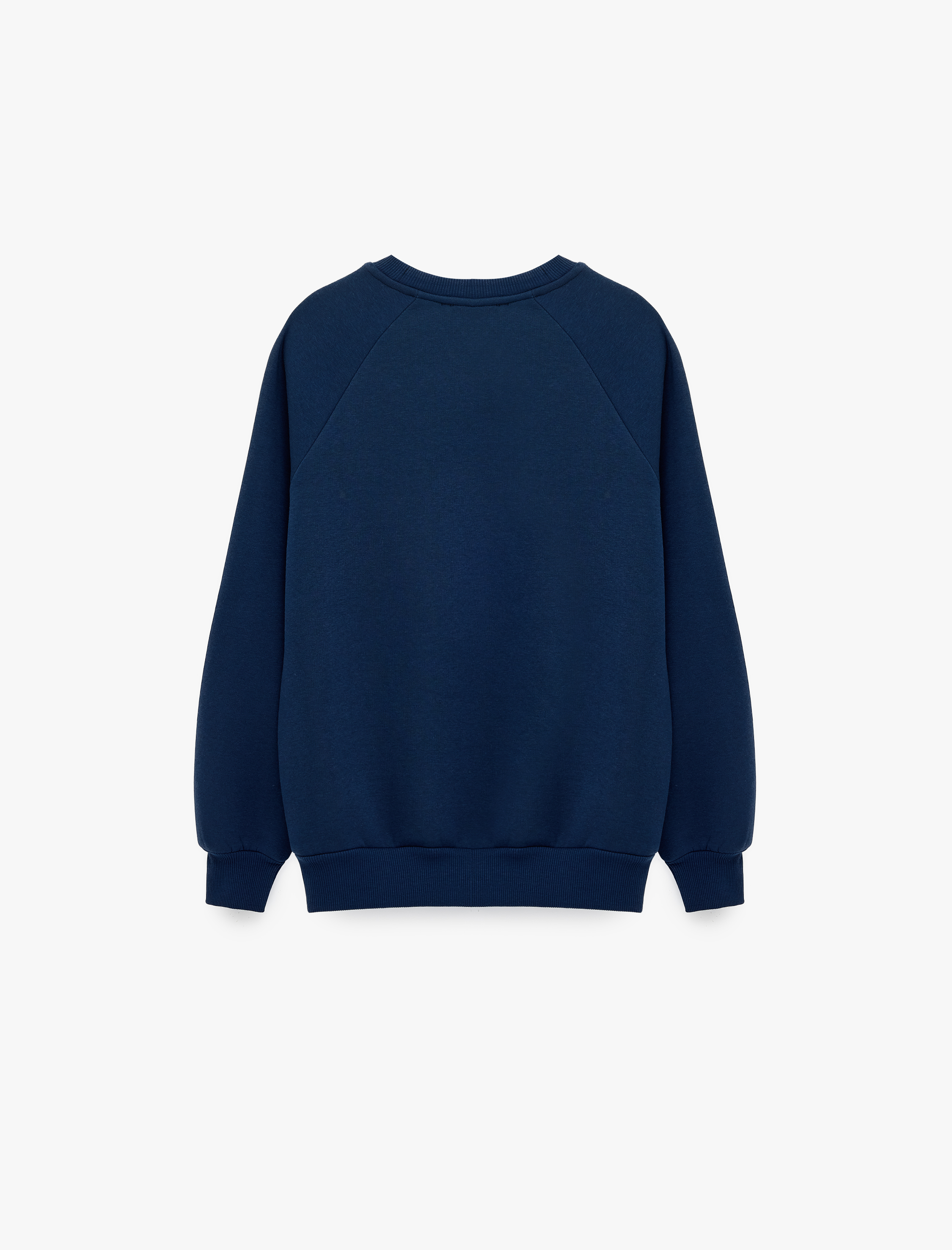   Şardonlu Şeritli Rahat Kalıp Reglan Uzun Kollu Bisiklet Yaka Baskılı Sweatshirt