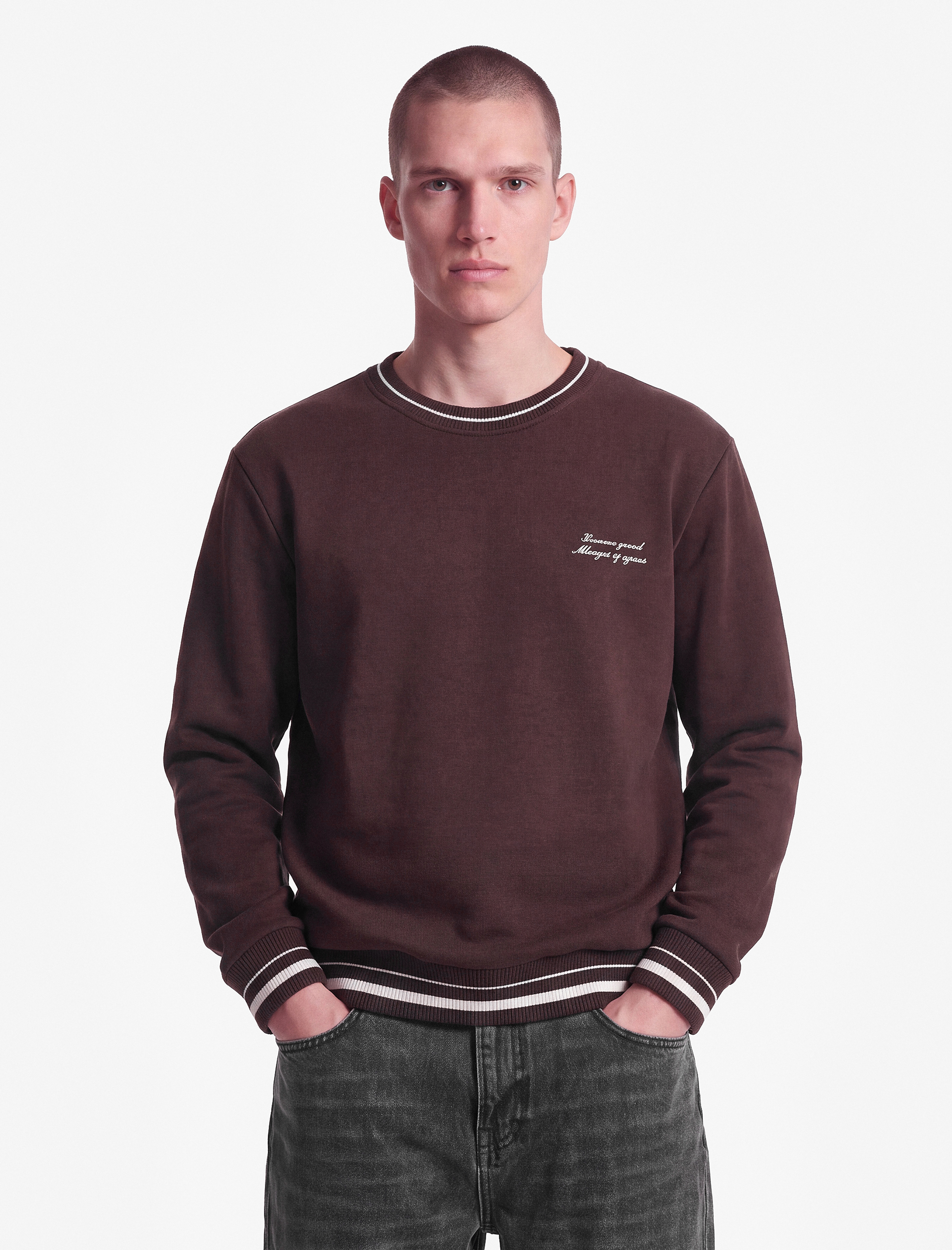   Şardonlu Uzun Kollu Nakışlı Bisiklet Yaka Sweatshirt