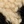 Rahat Kalıp Dik Yaka Cepli Yarım Fermuarlı Peluş Leopar Sweatshirt-0D6